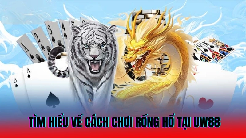 Cách Chơi Rồng Hổ Thắng Lớn Dành Cho Người Mới 2 Tìm hiểu về cách chơi rồng hổ tại UW88