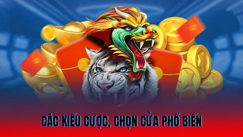 Cách Chơi Rồng Hổ Thắng Lớn Dành Cho Người Mới 3 Các kiểu cược, chọn cửa phổ biến được nhiều người chọn lựa