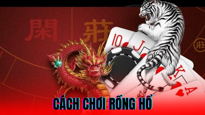 Cách Chơi Rồng Hổ Thắng Lớn Dành Cho Người Mới 1 cách chơi rồng hổ